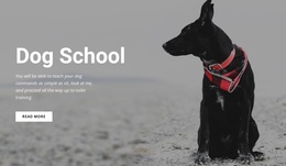 Stunning Landing Page For Book A Training Class