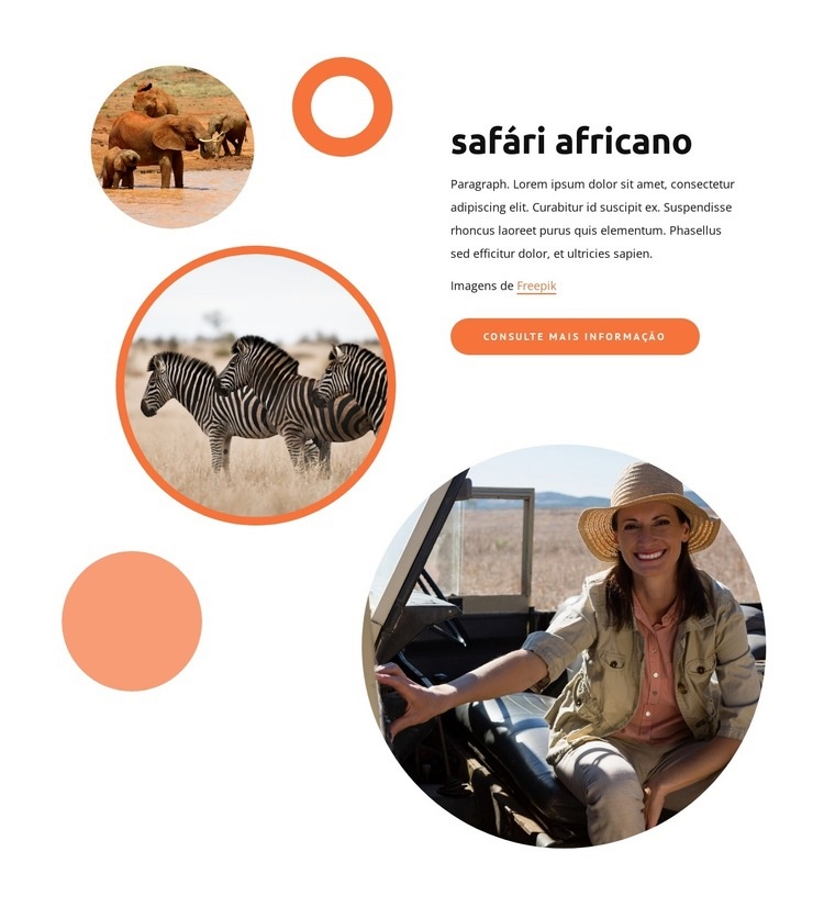 Safaris no Quênia Maquete do site