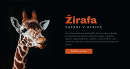 Safari V Tanzanii 7 Dní – Rozvržení Webových Stránek HTML