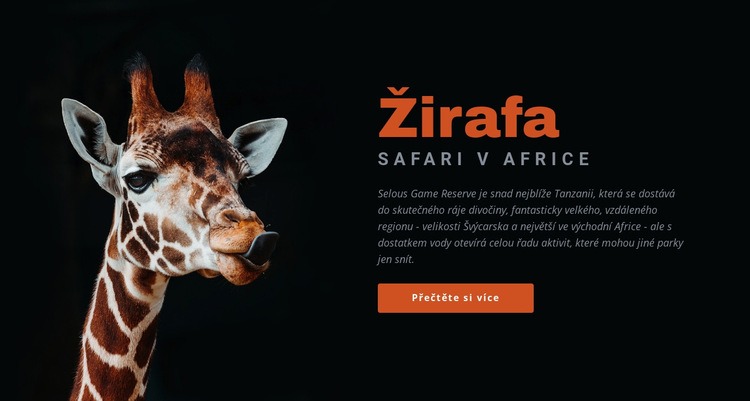 Safari v Tanzanii 7 dní Šablona