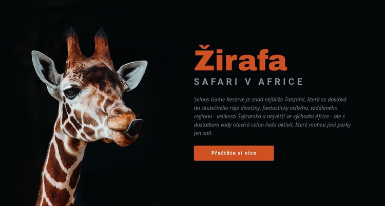 Safari v Tanzanii 7 dní Šablona webové stránky