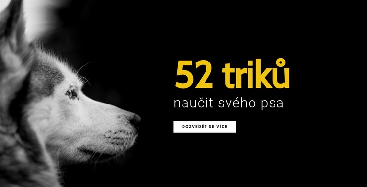 52 triků, jak naučit svého psa Šablona webové stránky