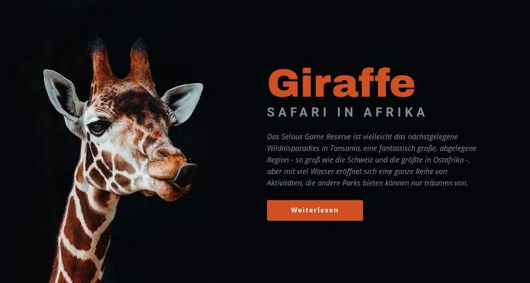 Tansania Safari 7 Tage HTML-Vorlage