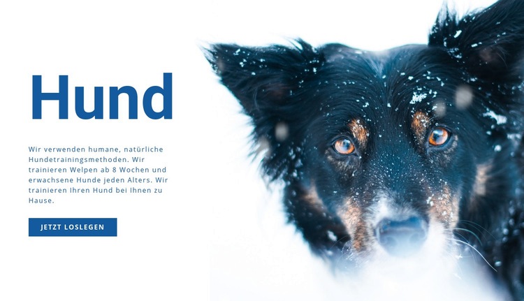 Hundetraining Methoden Website-Modell