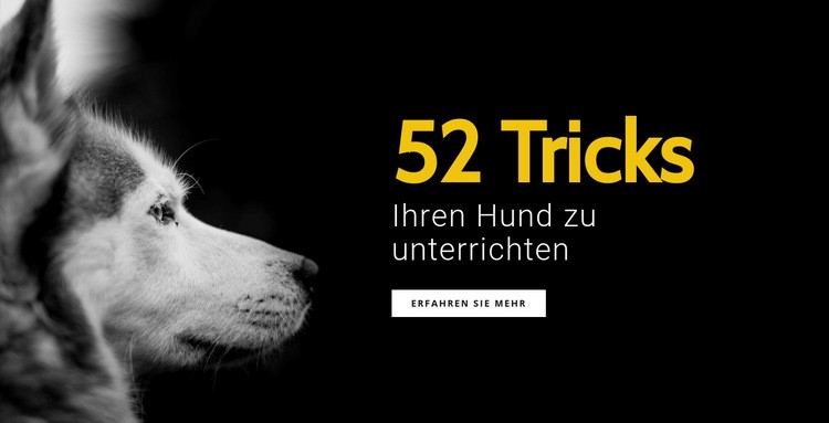 52 Tricks, um Ihren Hund zu unterrichten Website-Modell