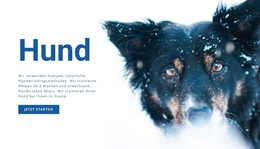 Hundetraining Methoden WordPress-Theme