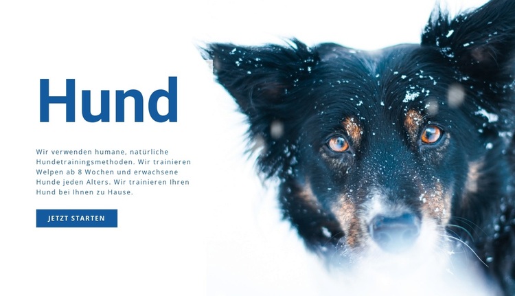 Hundetraining Methoden WordPress-Theme