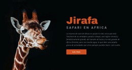 Safari En Tanzania 7 Días - Mejor Creador De Sitios Web