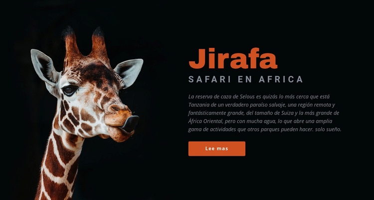 Safari en Tanzania 7 días Creador de sitios web HTML