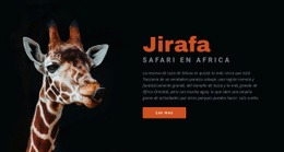 Safari En Tanzania 7 Días Sitio Web Receptivo