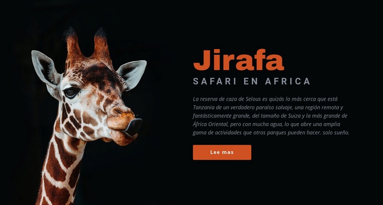 Safari en Tanzania 7 días Maqueta de sitio web