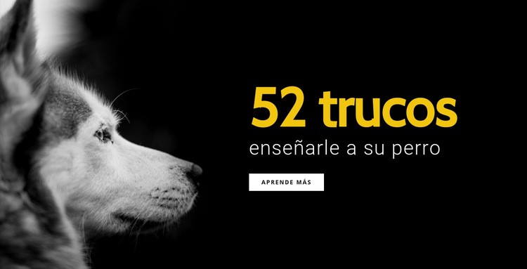 52 trucos para enseñarle a tu perro Maqueta de sitio web