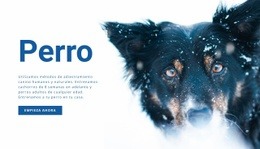 Métodos De Adiestramiento De Perros - Diseñado Profesionalmente