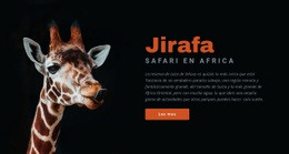 Safari En Tanzania 7 Días Plantilla De Una Página