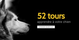 52 Astuces Pour Apprendre À Votre Chien - Conception Des Fonctionnalités