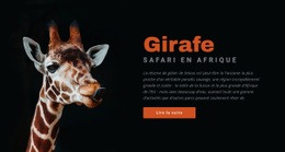 Safari En Tanzanie 7 Jours - Drag And Drop HTML Builder