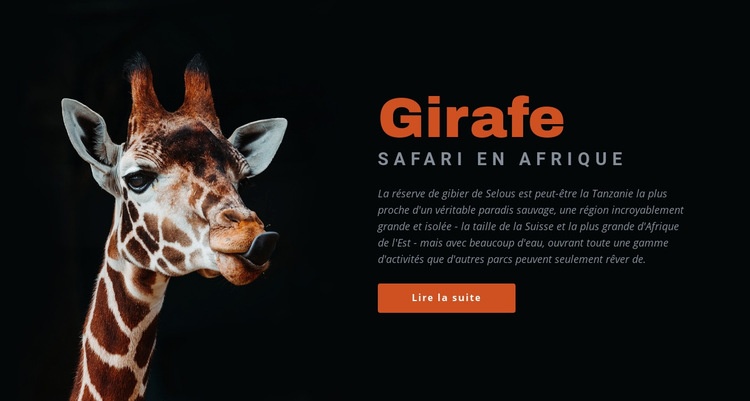 Safari en Tanzanie 7 jours Maquette de site Web