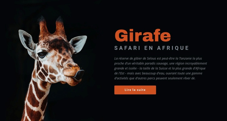 Safari en Tanzanie 7 jours Modèle HTML5