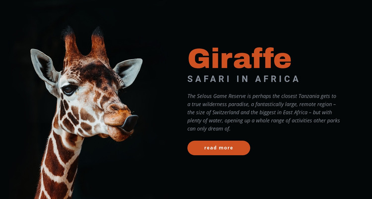 Tanzania safari 7 days Homepage Design