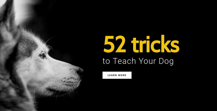 52 Tricks to teach your dog Homepage Design