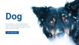 Dog training methods - Html Code Example by Nicepage