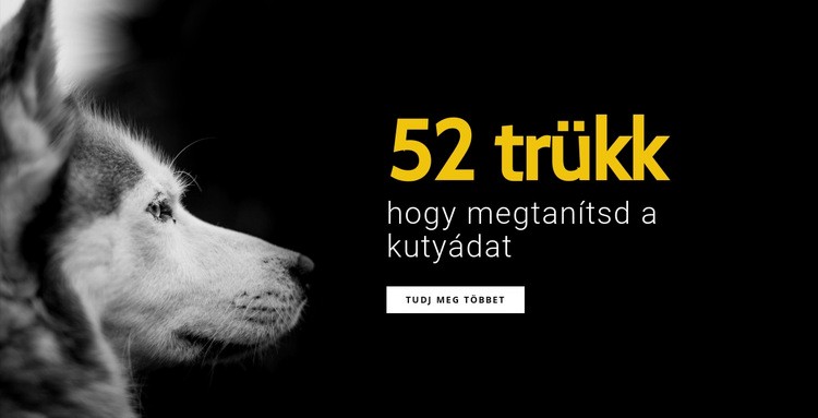 52 trükk a kutya tanítására HTML Sablon