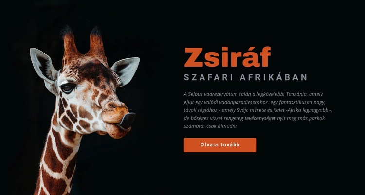 Tanzániai szafari 7 nap Weboldal sablon