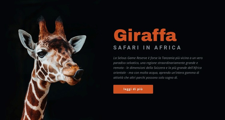 Safari in Tanzania 7 giorni Modelli di Website Builder