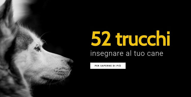 52 trucchi da insegnare al tuo cane Modelli di Website Builder