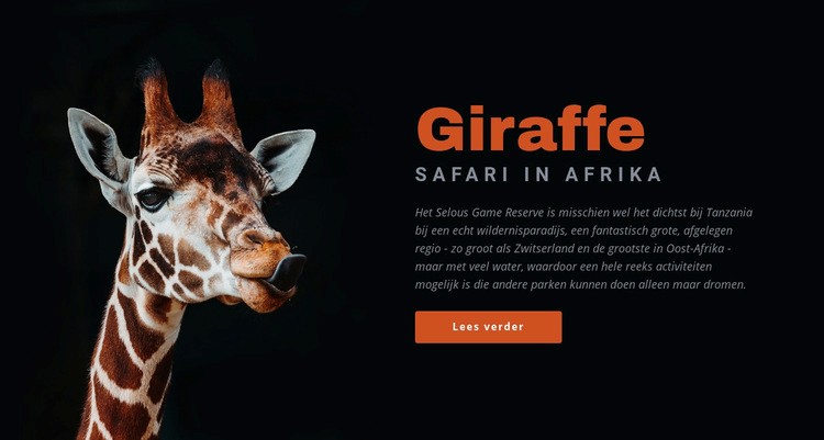 Tanzania safari 7 dagen HTML5-sjabloon