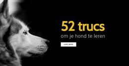 52 Trucs Om Uw Hond Te Leren