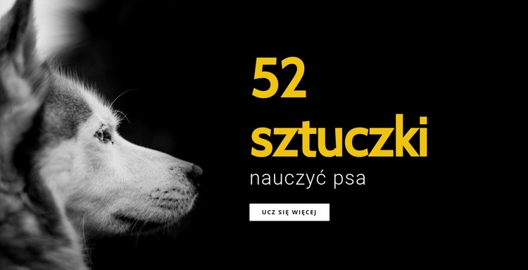 52 Sztuczki do nauczenia psa Kreator witryn internetowych HTML