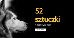 52 Sztuczki Do Nauczenia Psa - Makieta Projektu Strony Internetowej