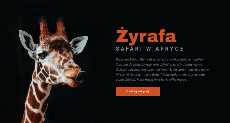 Safari w Tanzanii 7 dni Makieta strony internetowej