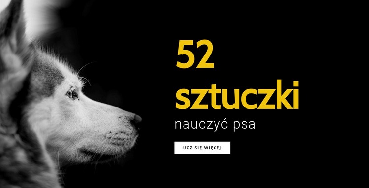 52 Sztuczki do nauczenia psa Makieta strony internetowej