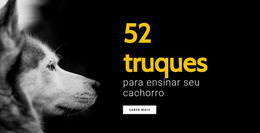 52 Truques Para Ensinar Seu Cachorro - Inspiração De Template Joomla