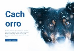 Página De Destino Incrível Para Métodos De Treinamento De Cães