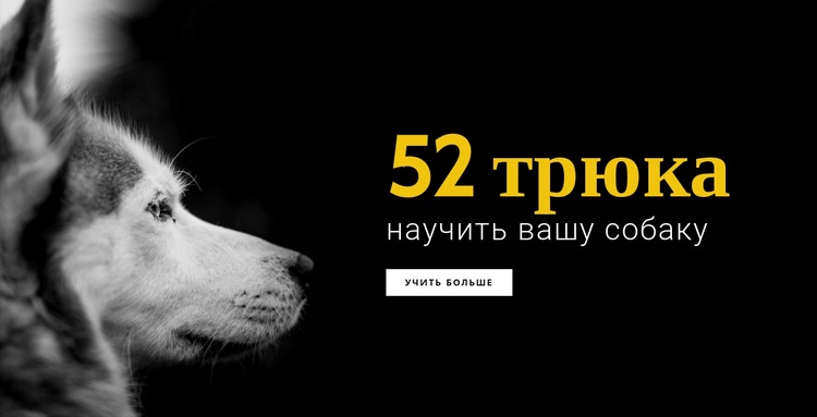 52 хитрости, как научить собаку Шаблон Joomla