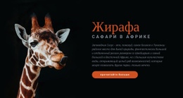 Сафари В Танзании 7 Дней Веб-Сайт Зоопарка