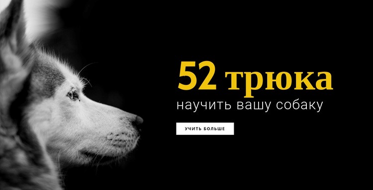 52 хитрости, как научить собаку Шаблон веб-сайта