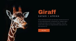 Tanzania Safari 7 Dagar