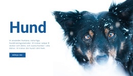 HTML-Sidadesign För Hundträningsmetoder