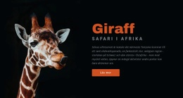 Tanzania Safari 7 Dagar - HTML-Webbplatslayout