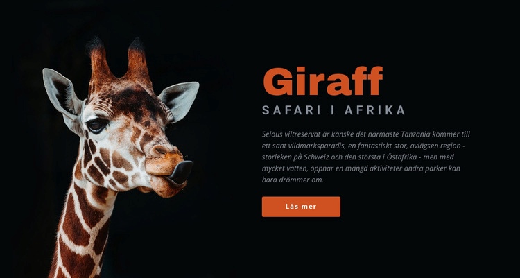 Tanzania safari 7 dagar HTML-mall