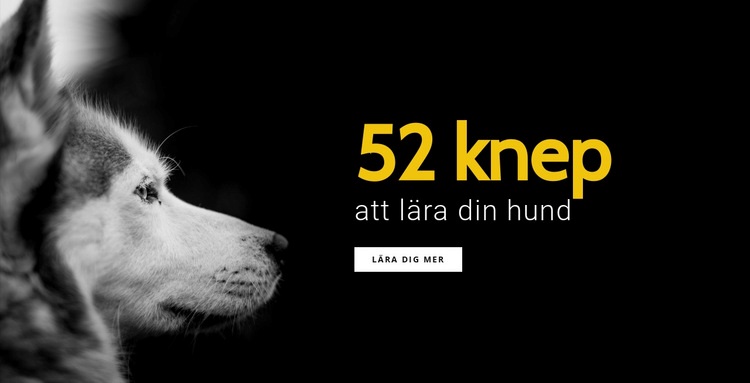52 knep för att lära din hund HTML-mall