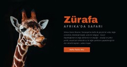 Tanzanya Safari 7 Gün Hayvanat Bahçesi Web Sitesi Şablonu