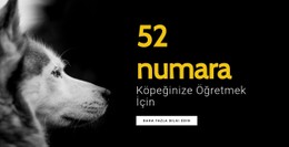 Köpeğinize Öğretmek Için 52 Numara Için Şablon Demosu