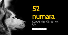 Köpeğinize Öğretmek Için 52 Numara Için HTML Açılış Sayfası