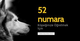 Köpeğinize Öğretmek Için 52 Numara - HTML Site Builder
