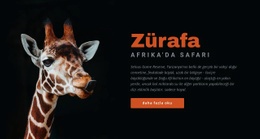 Tanzanya Safari 7 Gün Şablonlar Html5 Duyarlı Ücretsiz